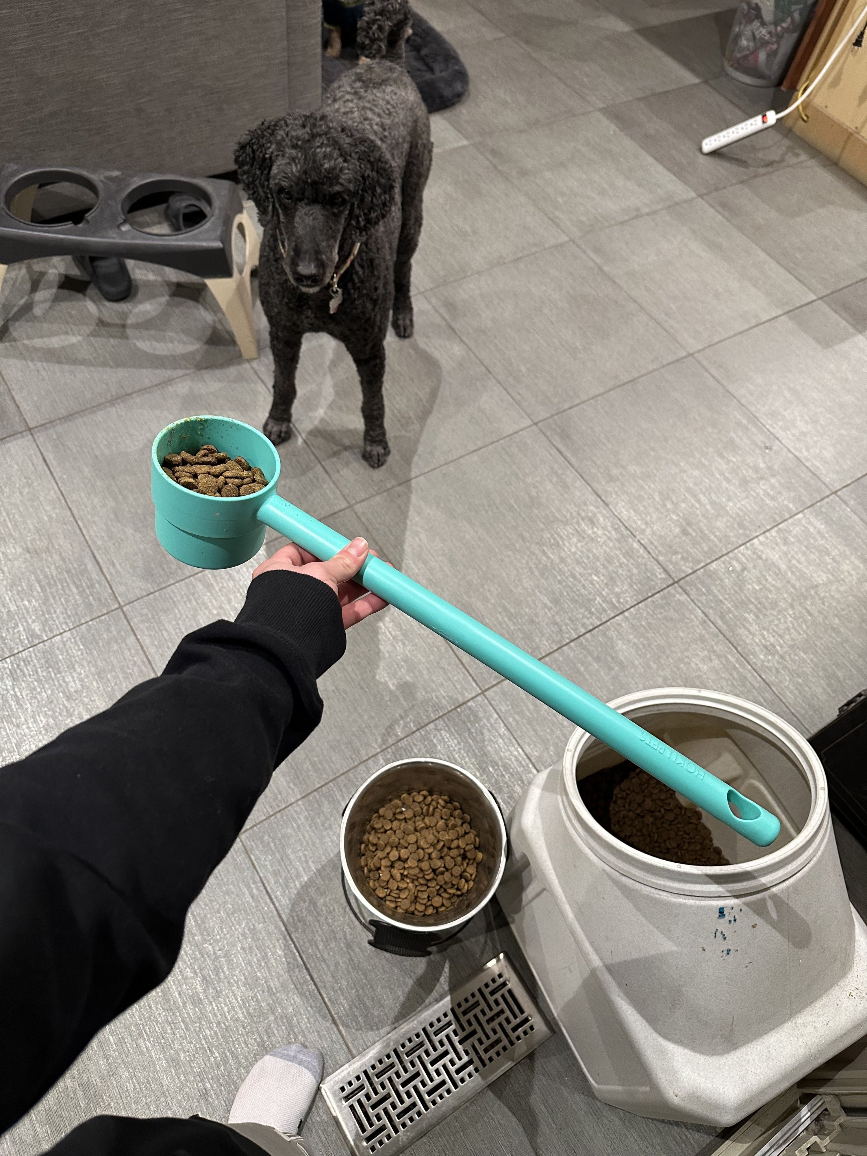 Long Handle Dog Food Scoop